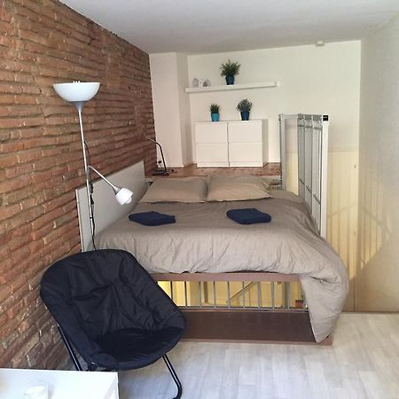Le Petit Moulin, Duplex Hypercentre Toulouse Appartement Buitenkant foto